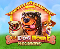 The Dog House Megaways img